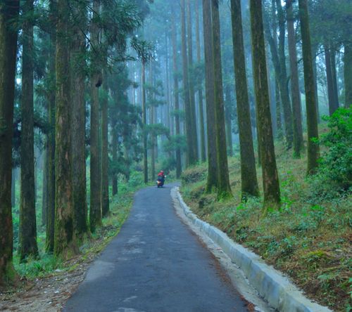 Landscape